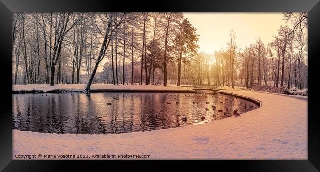 Snowy park at sunset Framed Print by Maria Vonotna