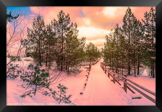 Sunset over trail in pine forest Framed Print by Maria Vonotna