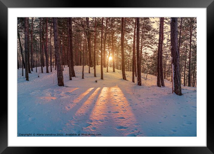Sunset in winter snowy forest Framed Mounted Print by Maria Vonotna