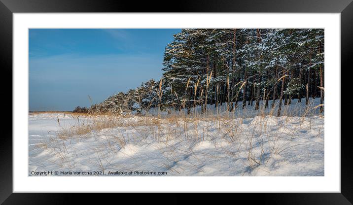 Yellow grass covered in snow in sea coast Framed Mounted Print by Maria Vonotna