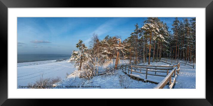 Snow covered pine forest during sunny winter day Framed Mounted Print by Maria Vonotna