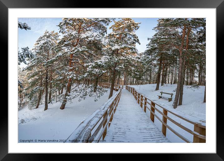 Wooden path in snowy coniferous forest Framed Mounted Print by Maria Vonotna