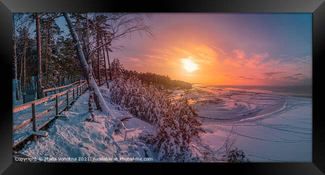 Colorful sunset over snowy sea coast and pine  Framed Print by Maria Vonotna