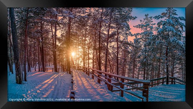 View of sunset over snowy pine forest with sun ray Framed Print by Maria Vonotna
