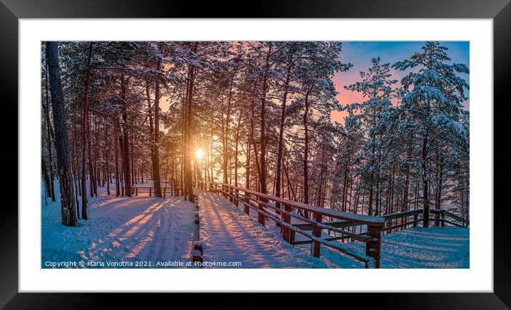 View of sunset over snowy pine forest with sun ray Framed Mounted Print by Maria Vonotna