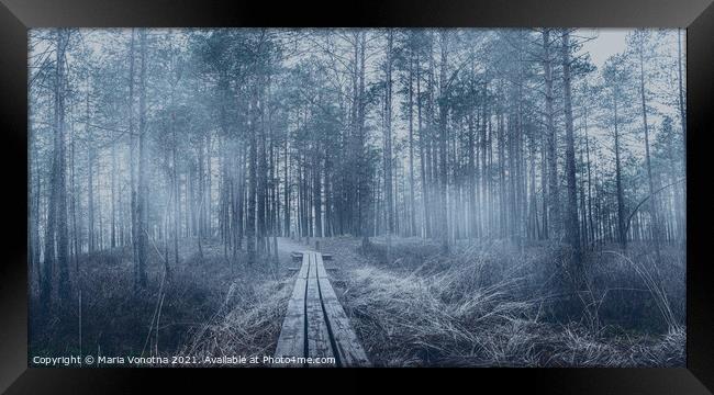 Misty coniferous forest with pine trees and wooden path Framed Print by Maria Vonotna