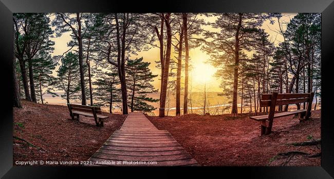 Sunset in pine forest with benches under trees Framed Print by Maria Vonotna