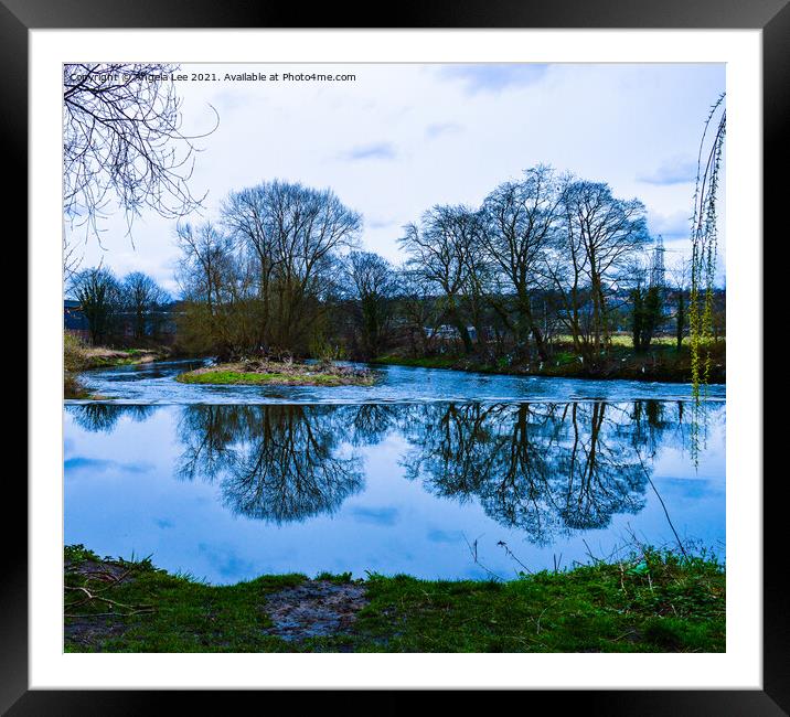 Tree reflection  Framed Mounted Print by Angela Lee