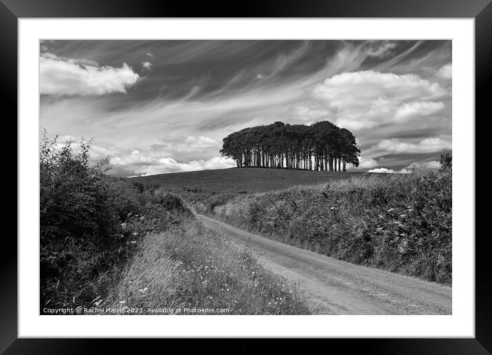 Nearly there Trees Framed Mounted Print by Rachel Harris