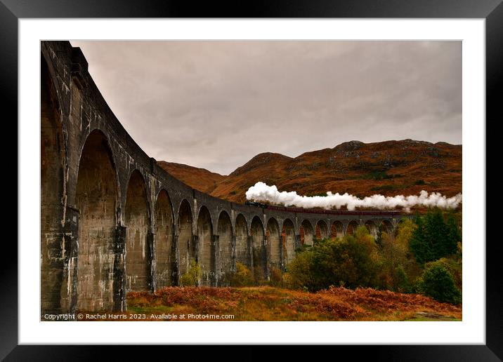 Glenfinnan viaduct with Jacobite  Framed Mounted Print by Rachel Harris