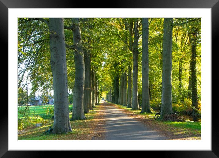 Walking on  the sunshine lane in October  Framed Mounted Print by Juergen Hess