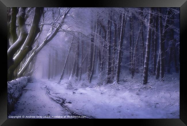 Peak District Winter Pathway - LPOTY 2021 Framed Print by Andy Gray