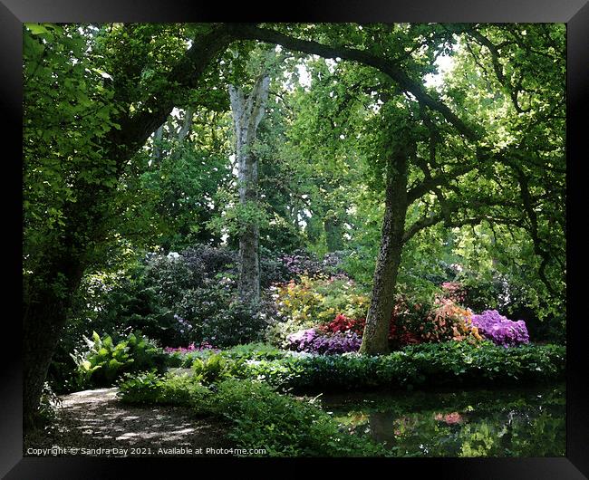 Water Garden Longstock Park 06 Framed Print by Sandra Day