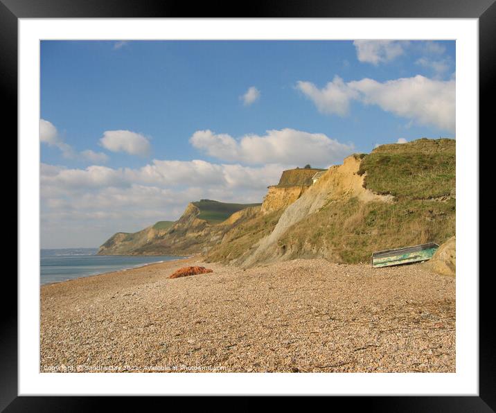 Dorset coast  Framed Mounted Print by Sandra Day