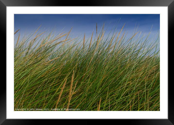 Peaceful, swaying grass in the dunes at Holkham Beach Framed Mounted Print by johnseanphotography 