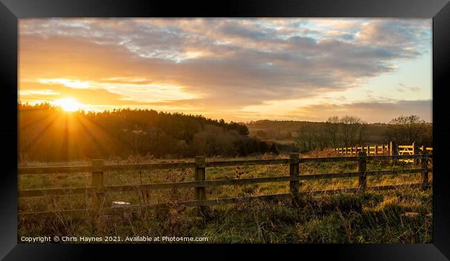 Sunset at Fineshade Wood, Northamptonshire Framed Print by Chris Haynes