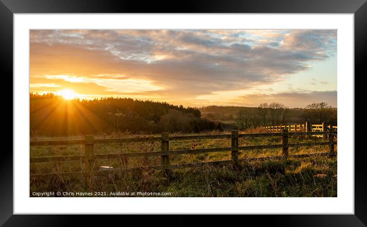 Sunset at Fineshade Wood, Northamptonshire Framed Mounted Print by Chris Haynes