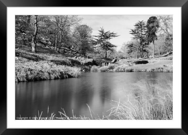 Bradgate Park Woodland and Water in Black and White Framed Mounted Print by Chris Haynes