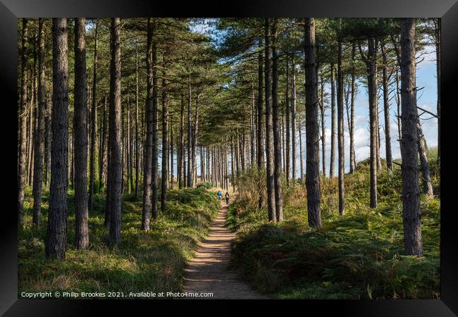 Newborough Forest Framed Print by Philip Brookes