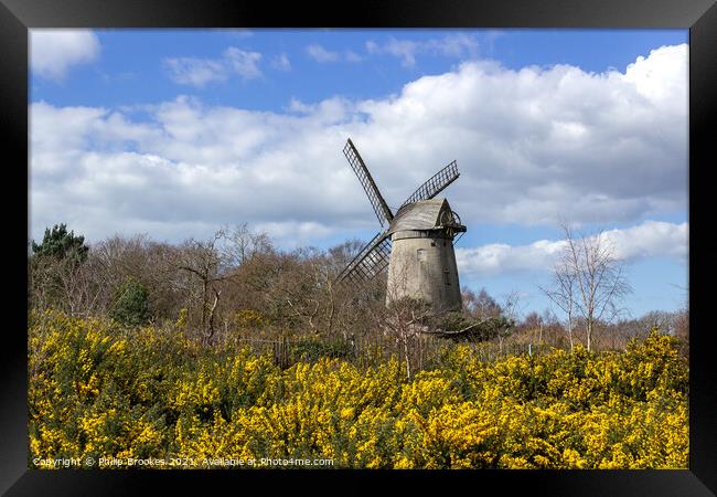 Bidston Windmill in Spring Framed Print by Philip Brookes