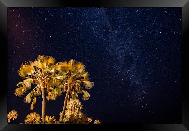 Palm Tree and Night Sky with Palms Framed Print by Dietmar Rauscher