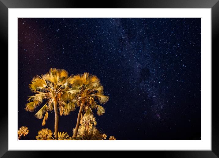 Palm Tree and Night Sky with Palms Framed Mounted Print by Dietmar Rauscher
