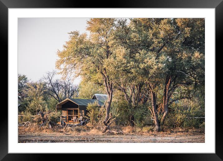 Luxury Safari Tent in a Camp in the Okavango Delta, Botswana, Af Framed Mounted Print by Dietmar Rauscher