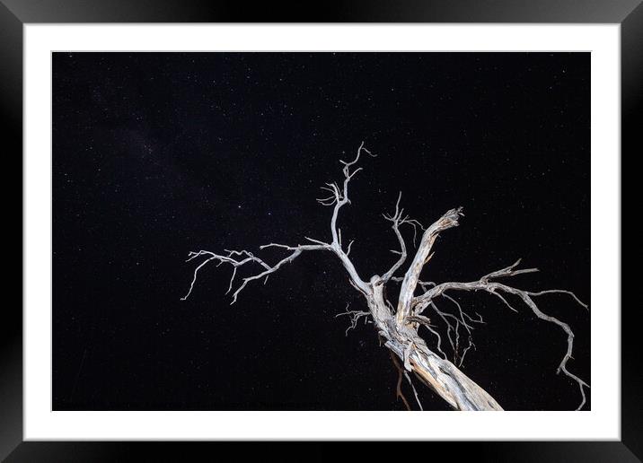 Dry, Bleached, Dead Tree at Night with Star Sky Framed Mounted Print by Dietmar Rauscher