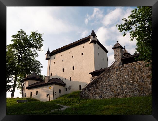 Goldegg Castle in the Pongau Region of Salzburg, Austria Framed Print by Dietmar Rauscher
