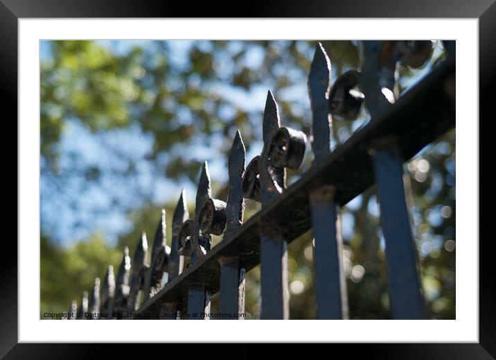 Wrought Iron Fence in Charleston, South Carolina Framed Mounted Print by Dietmar Rauscher
