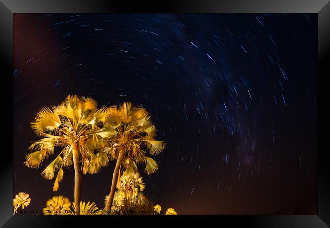 Palm Tree and Night Sky with Stars Framed Print by Dietmar Rauscher