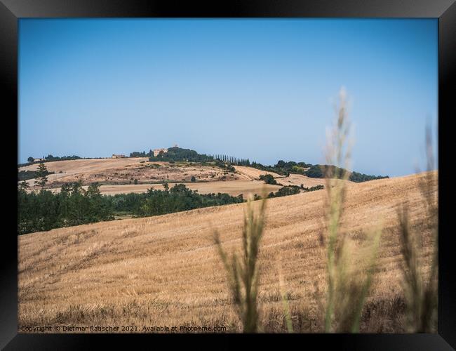 Hills of Tuscany near Montalcino Framed Print by Dietmar Rauscher