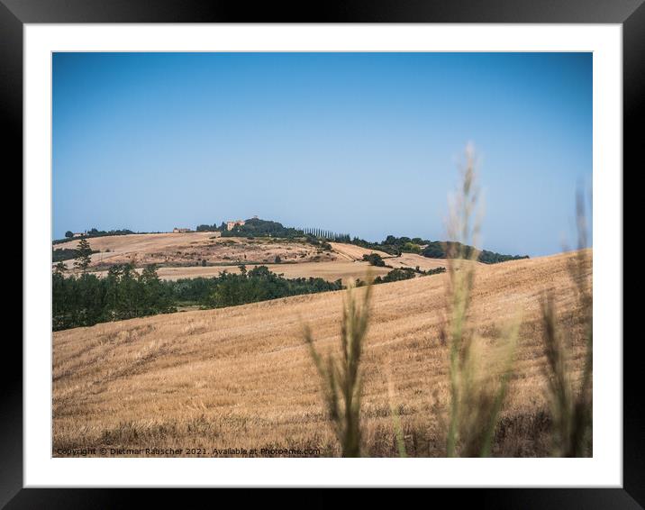 Hills of Tuscany near Montalcino Framed Mounted Print by Dietmar Rauscher
