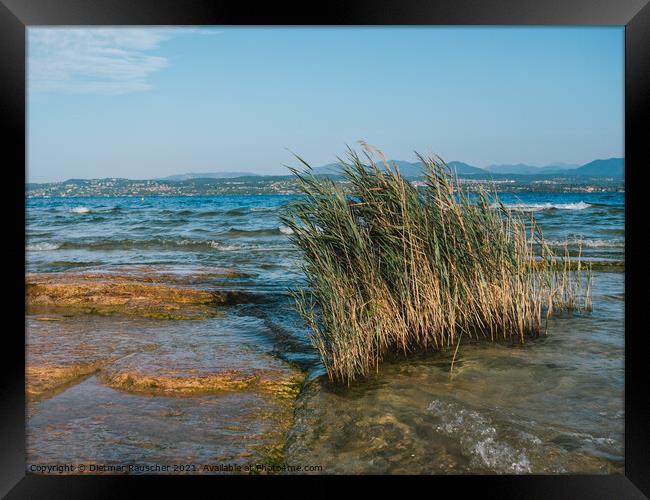 Lake Garda Landscape in Sirmione Framed Print by Dietmar Rauscher