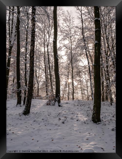 Winter Forest Landscape in Lower Austria Framed Print by Dietmar Rauscher