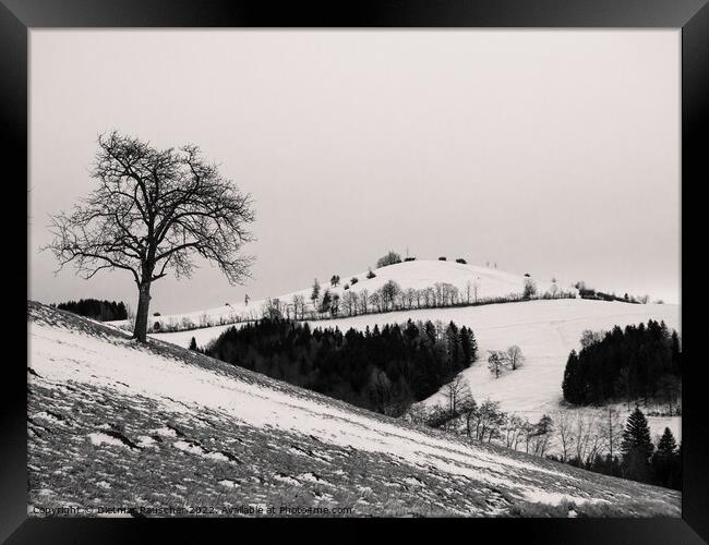 Winter Landscape of the Summit of Mount Hochkogel in Lower Austr Framed Print by Dietmar Rauscher