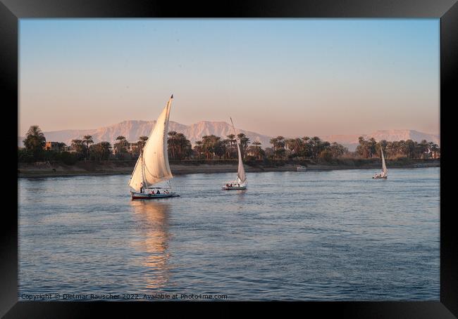 Felucca Sail Boat on the River Nile in Egypt Framed Print by Dietmar Rauscher