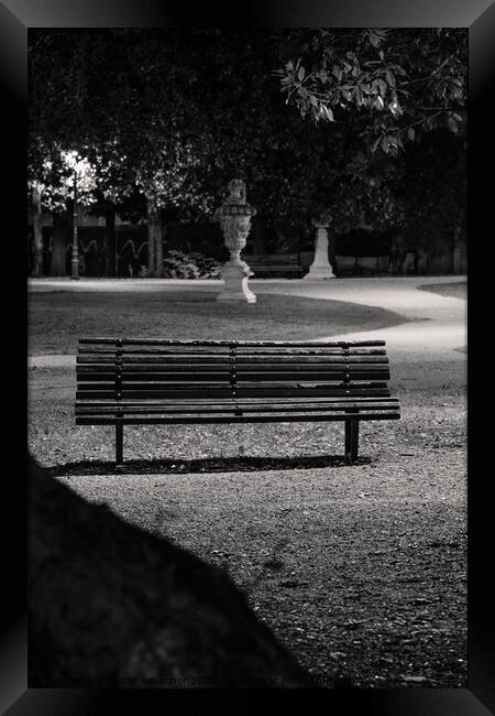 Giardino Salvi Garden with Park Bench in Vicenza Framed Print by Dietmar Rauscher