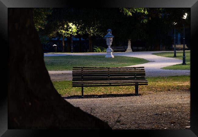 Giardino Salvi Garden with Park Bench in Vicenza Framed Print by Dietmar Rauscher