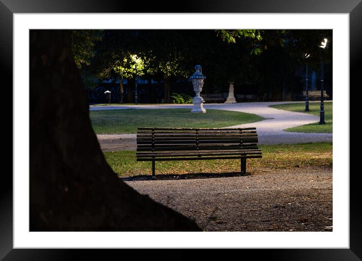 Giardino Salvi Garden with Park Bench in Vicenza Framed Mounted Print by Dietmar Rauscher