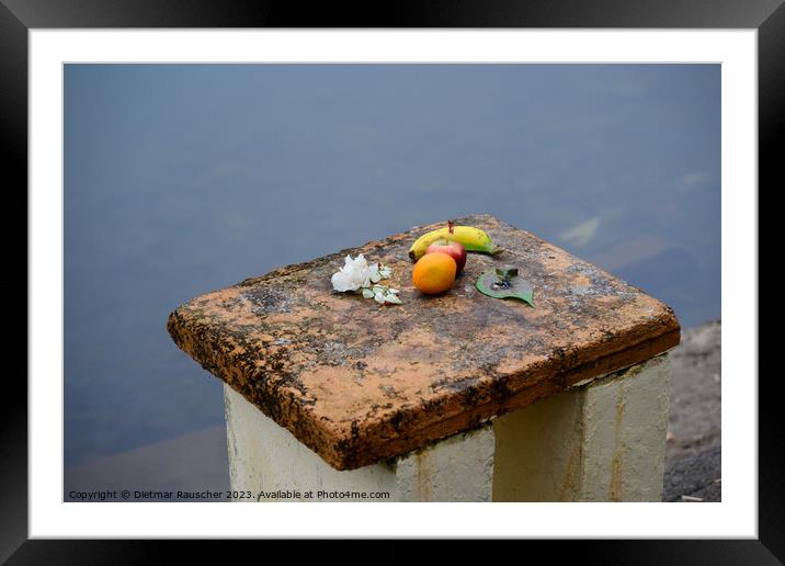 Offering at Ganga Talao Grand Bassin Lake in Mauritius Framed Mounted Print by Dietmar Rauscher