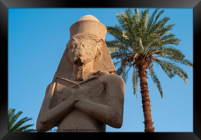 Statue of Ramesses II at Karnak Temple Framed Print by Dietmar Rauscher