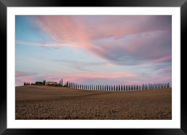 Cypress Tree Alley at Poggio Covili Farmhouse in Tuscany, Italy  Framed Mounted Print by Dietmar Rauscher