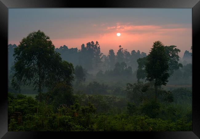 Romantic Sunset Over a Misty Landscape with Trees in Uganda Framed Print by Dietmar Rauscher