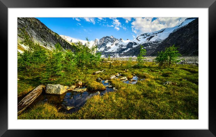 Mountain Meadow, British Columbia, Canada Framed Mounted Print by Shawna and Damien Richard