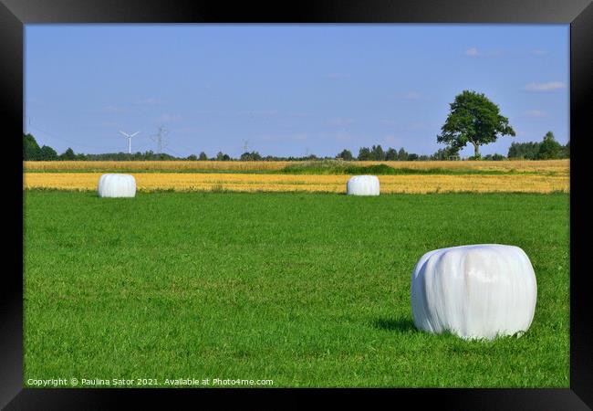 Wrapped hay bales stacked Framed Print by Paulina Sator