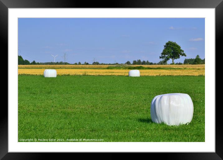 Wrapped hay bales stacked Framed Mounted Print by Paulina Sator
