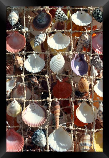Marinistic decoration with sea shells Framed Print by Paulina Sator