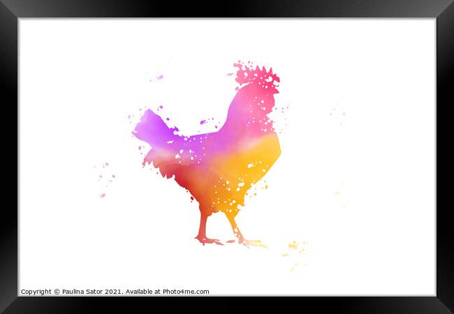 Colorful rooster. watercolor illustration Framed Print by Paulina Sator