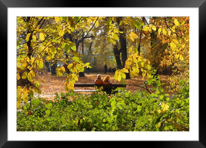 Love is in the autumn air Framed Mounted Print by Paulina Sator